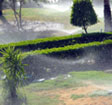 Chenail Sprinkler and Irrigation Services