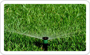 Irrigation Hartford CT